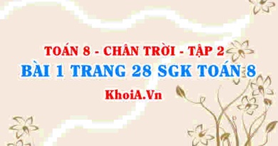 Bài 1 trang 28 Toán 8 Chân trời sáng tạo Tập 2